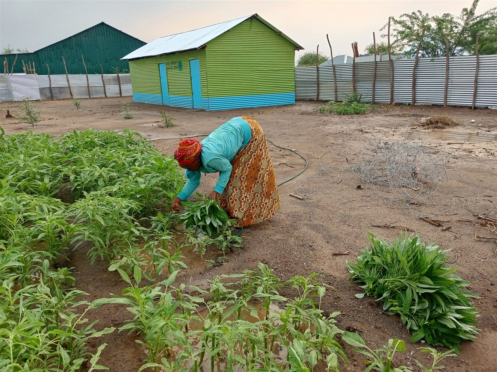 Educational support distribution in Kakuma