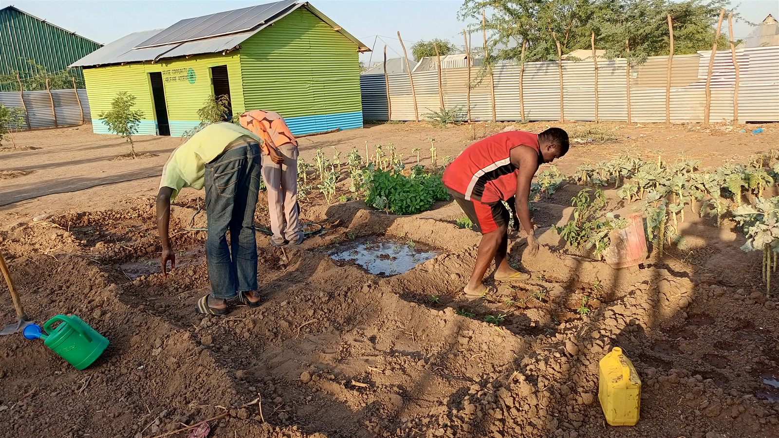 Hygiene & Sanitation Actions